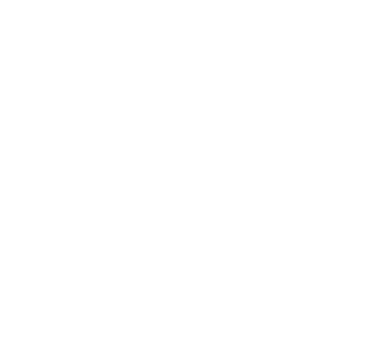 심미치료 수가